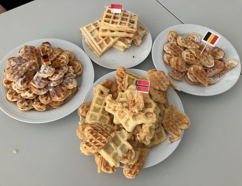 Viele tolle Projekte zum Europatag